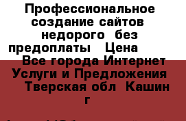 Профессиональное создание сайтов, недорого, без предоплаты › Цена ­ 6 000 - Все города Интернет » Услуги и Предложения   . Тверская обл.,Кашин г.